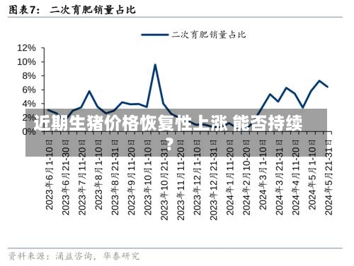 近期生猪价格恢复性上涨 能否持续？